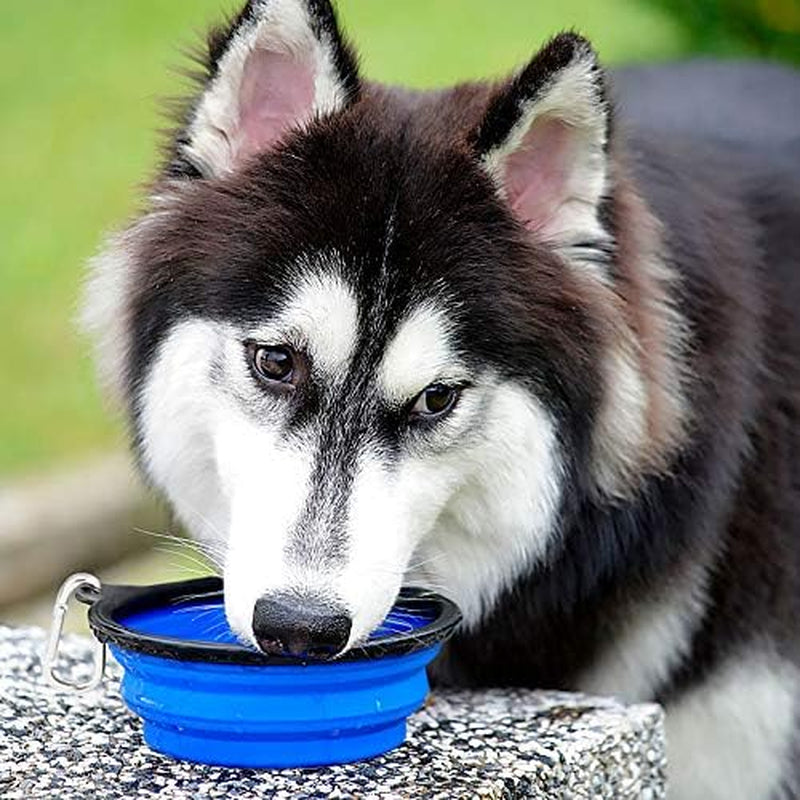 Large Collapsible Dog Bowls 2 Pack, 34Oz Foldable Dog Travel Bowl | Portable Dog Water Food Bowl with Clasp, Pet Cat Feeding Cup Dish for Traveling, Walking, Parking