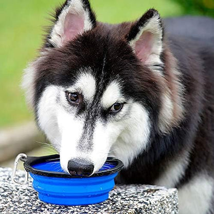 Large Collapsible Dog Bowls 2 Pack, 34Oz Foldable Dog Travel Bowl | Portable Dog Water Food Bowl with Clasp, Pet Cat Feeding Cup Dish for Traveling, Walking, Parking