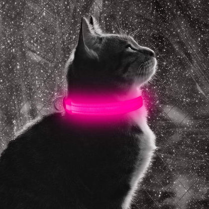 Light up Dog Collar for Small Dogs & Cats (Pink, XS) | Glow in the Dark Reflective Type- C Rechargeable Adjustable Flashing Illuminous Safety Dog Lights for Night Walking