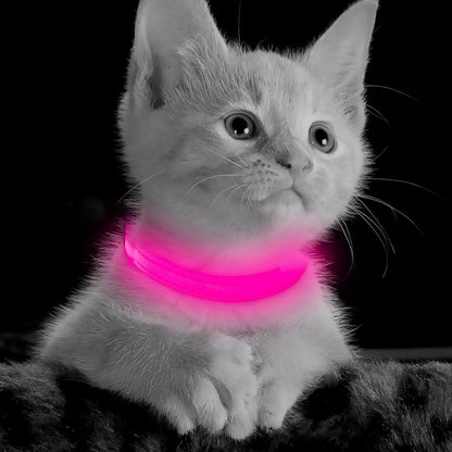 Light up Dog Collar for Small Dogs & Cats (Pink, XS) | Glow in the Dark Reflective Type- C Rechargeable Adjustable Flashing Illuminous Safety Dog Lights for Night Walking
