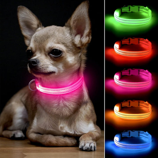 Light up Dog Collar for Small Dogs & Cats (Pink, XS) | Glow in the Dark Reflective Type- C Rechargeable Adjustable Flashing Illuminous Safety Dog Lights for Night Walking