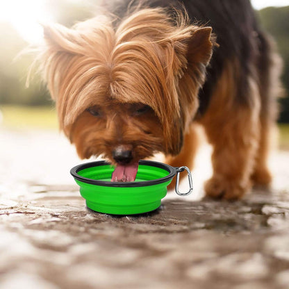 Large Collapsible Dog Bowls 2 Pack, 34Oz Foldable Dog Travel Bowl | Portable Dog Water Food Bowl with Clasp, Pet Cat Feeding Cup Dish for Traveling, Walking, Parking