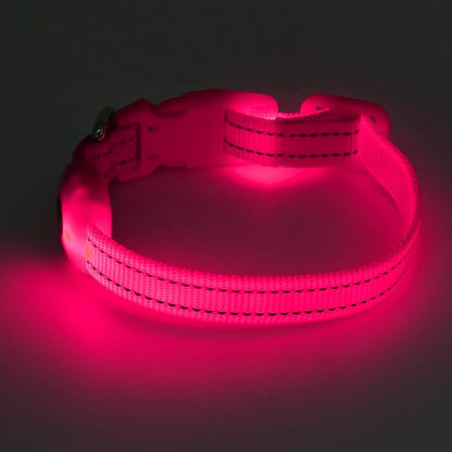 Light up Dog Collar for Small Dogs & Cats (Pink, XS) | Glow in the Dark Reflective Type- C Rechargeable Adjustable Flashing Illuminous Safety Dog Lights for Night Walking